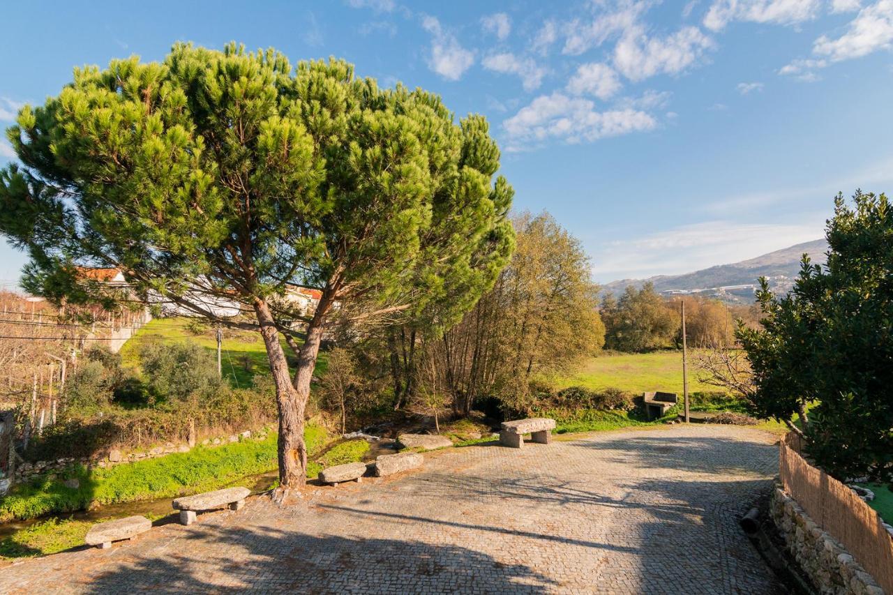 Casa Do Loureiro 1 - Seia - Serra Da Estrela Εξωτερικό φωτογραφία