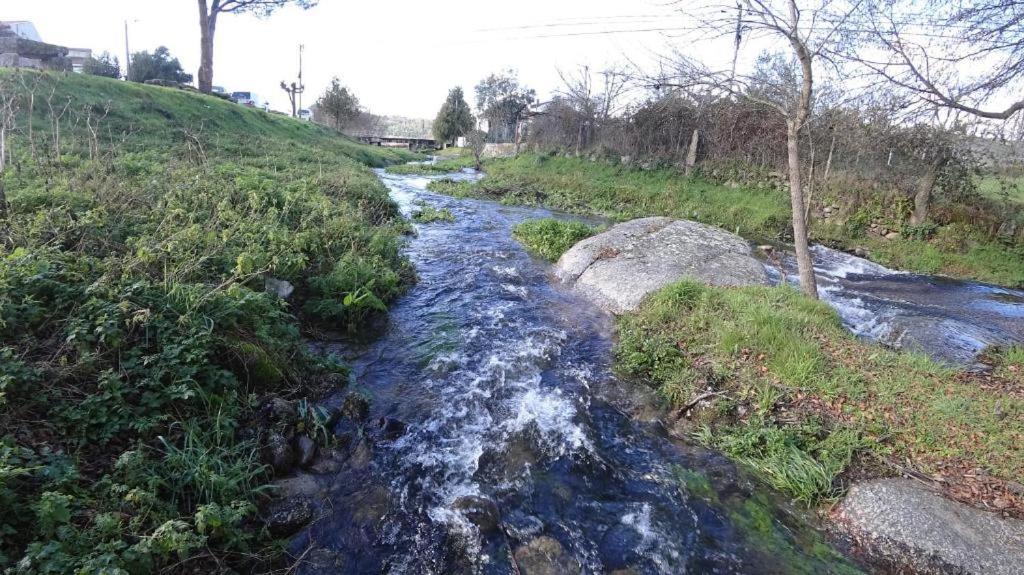 Casa Do Loureiro 1 - Seia - Serra Da Estrela Εξωτερικό φωτογραφία